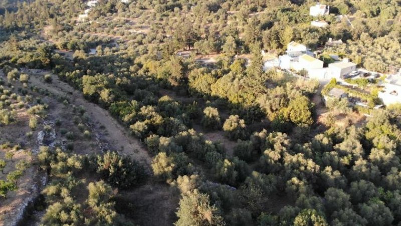 Ag. Pavlos bei Gavalochori Kreta, Ag. Pavlos: Malerisches Grundstück in der Nähe von Gavalochori zum Verkauf Grundstück kaufen